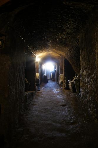 The view from a wine cellar in Italy by Christopher Ottesen